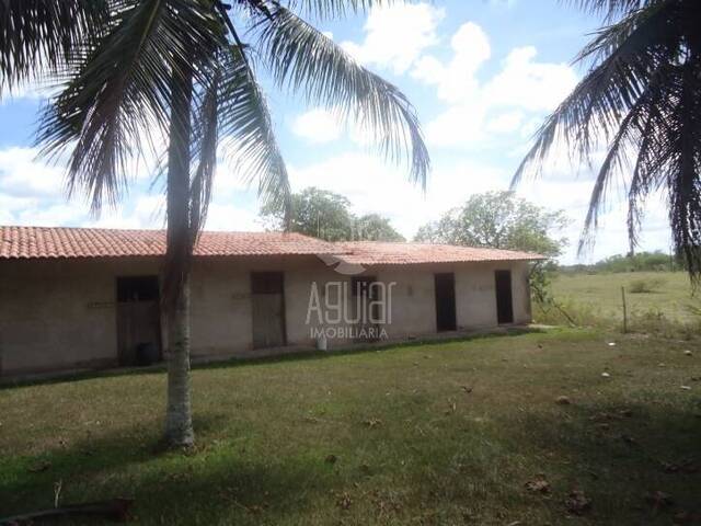 Chácara para Venda em São Gonçalo dos Campos - 1