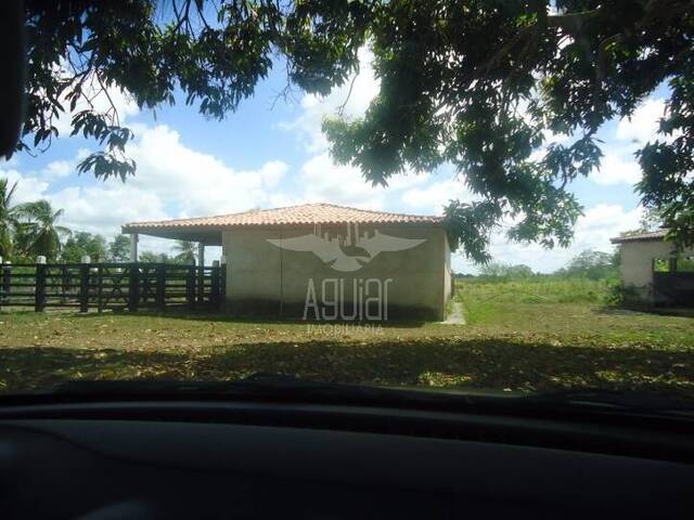 Chácara para Venda em São Gonçalo dos Campos - 2