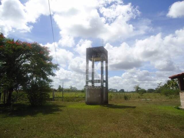 #946 - Chácara para Venda em São Gonçalo dos Campos - BA - 3