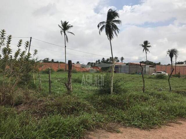 #1182 - Terreno para Venda em São Gonçalo dos Campos - BA - 1