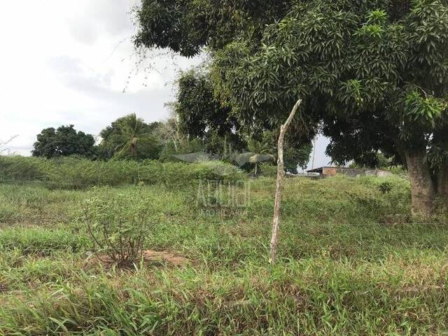 #1182 - Terreno para Venda em São Gonçalo dos Campos - BA - 2