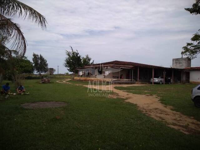 #1219 - Fazenda para Venda em Feira de Santana - BA - 1