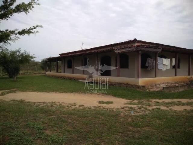 #1219 - Fazenda para Venda em Feira de Santana - BA - 2