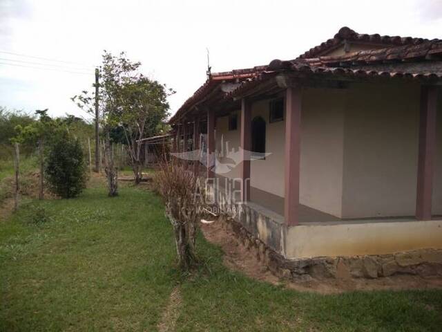 Fazenda para Venda em Feira de Santana - 3