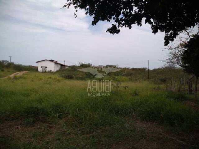 Fazenda para Venda em Feira de Santana - 5