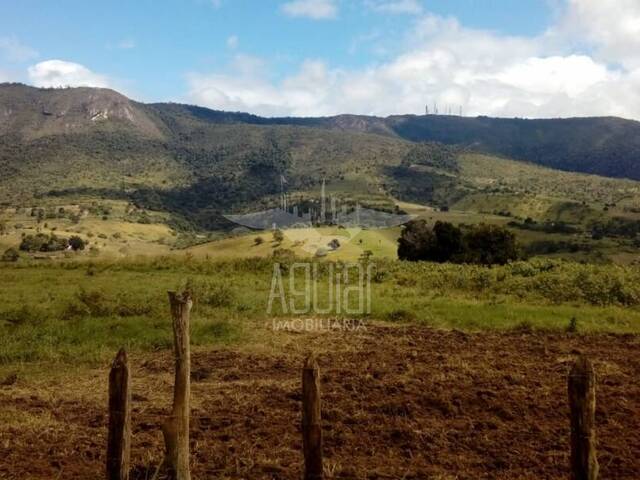 #1319 - Chácara para Venda em Feira de Santana - BA - 2