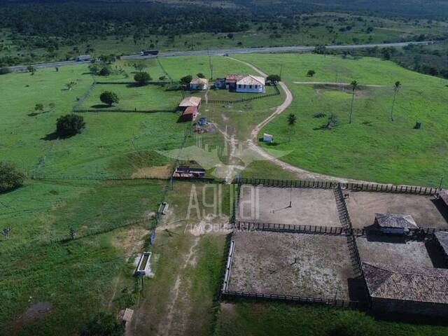 #1443 - Fazenda para Venda em Antônio Cardoso - BA - 2