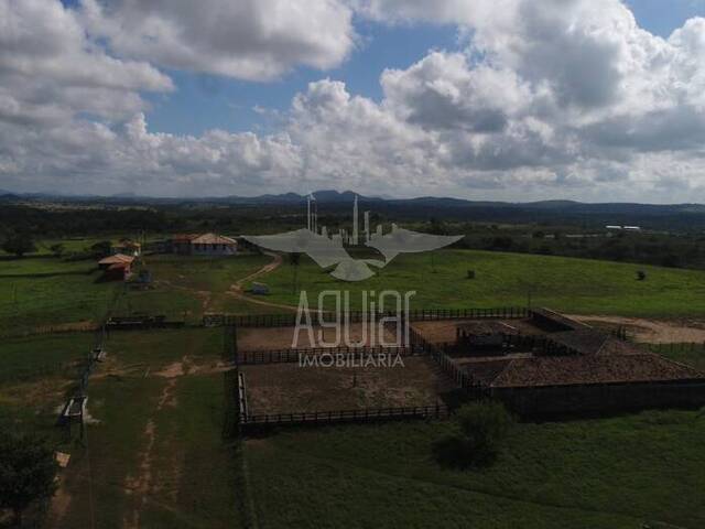 #1443 - Fazenda para Venda em Antônio Cardoso - BA - 1