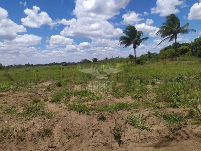 Área para Venda em Feira de Santana - 4