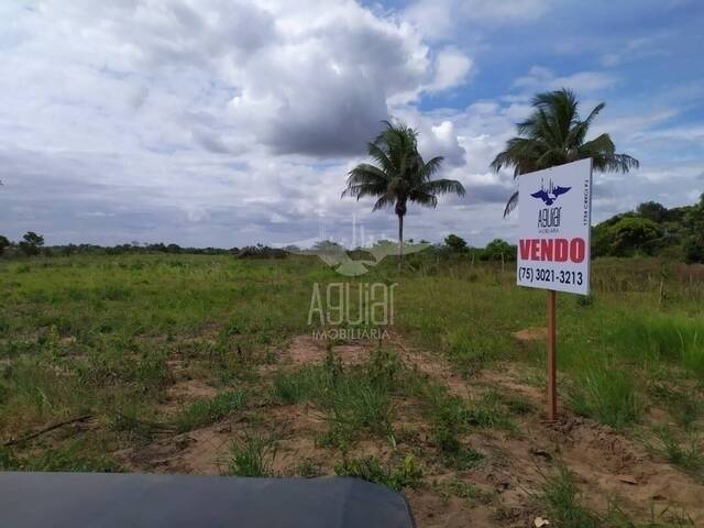 Área para Venda em Feira de Santana - 1