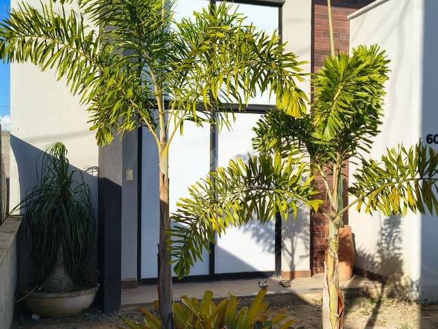 Casa para Venda em Feira de Santana - 3