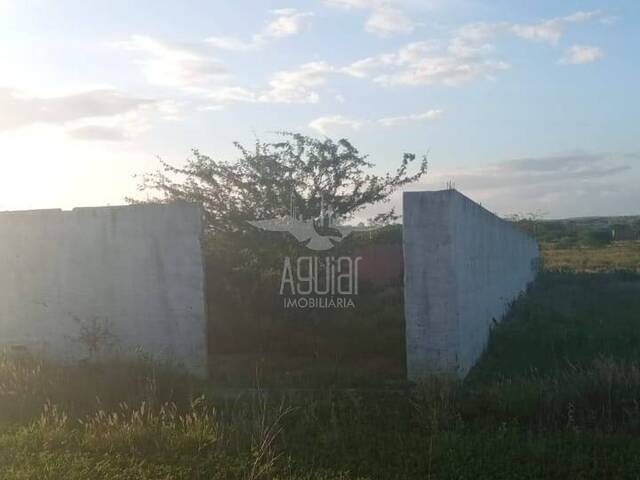 #3326 - Área para Venda em Tucano - BA - 3