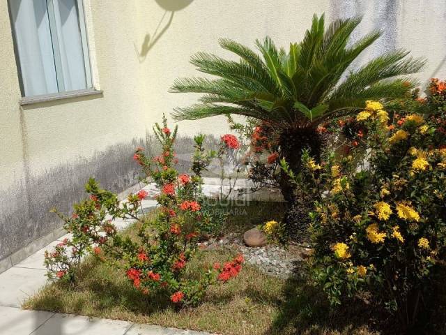 #3426 - Casa para Venda em Feira de Santana - BA - 3