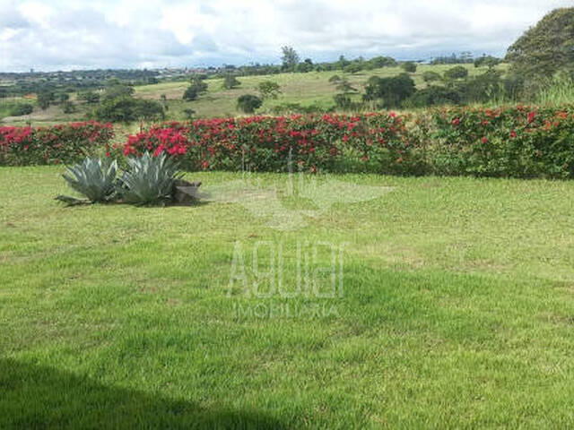 #3525 - Chácara para Venda em Feira de Santana - BA - 3