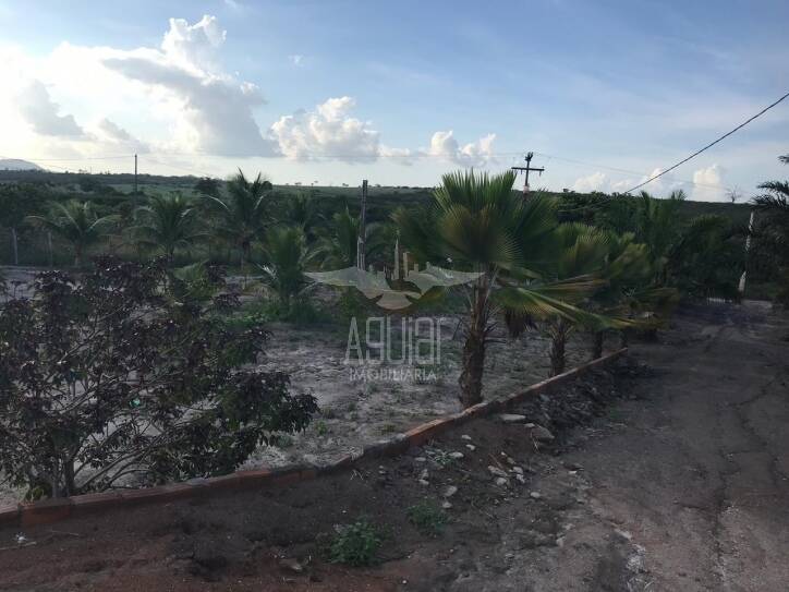 Chácara, 5 quartos, 5282 m² - Foto 5