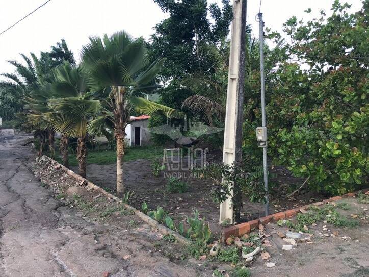 Chácara, 5 quartos, 5282 m² - Foto 23