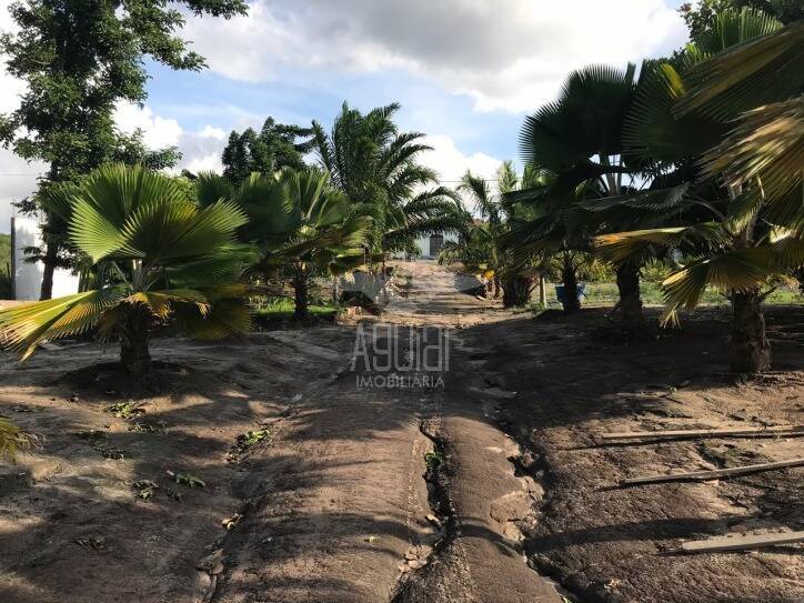 Chácara, 5 quartos, 5282 m² - Foto 24