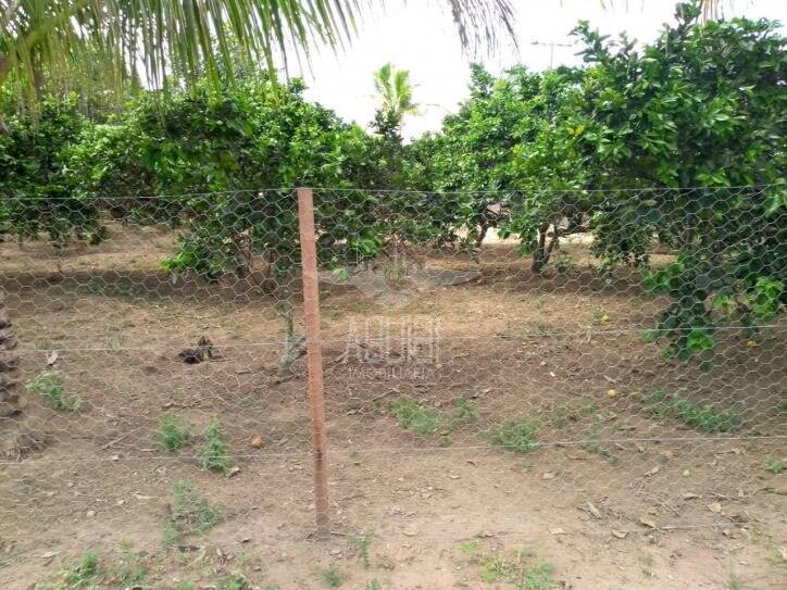 Terreno, 6150 m² - Foto 6