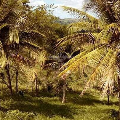 Fazenda, 397 m² - Foto 12