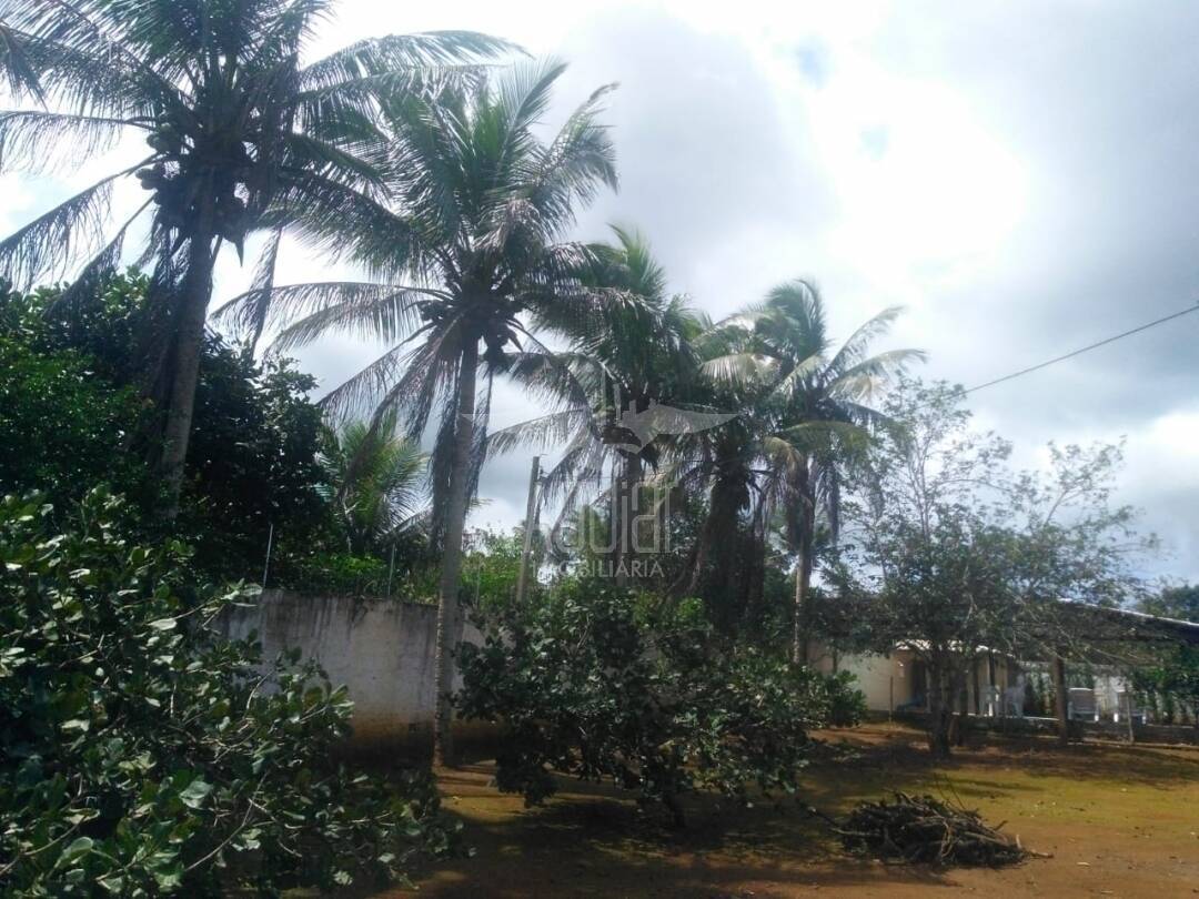 Sítio à venda com 2 quartos, 2160m² - Foto 16