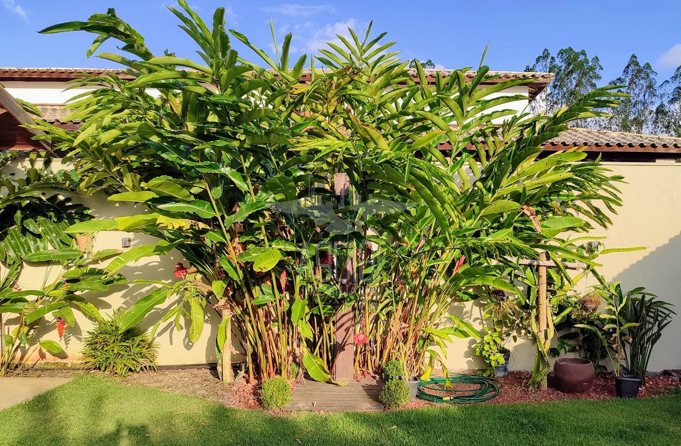 Casa à venda com 4 quartos, 333m² - Foto 16