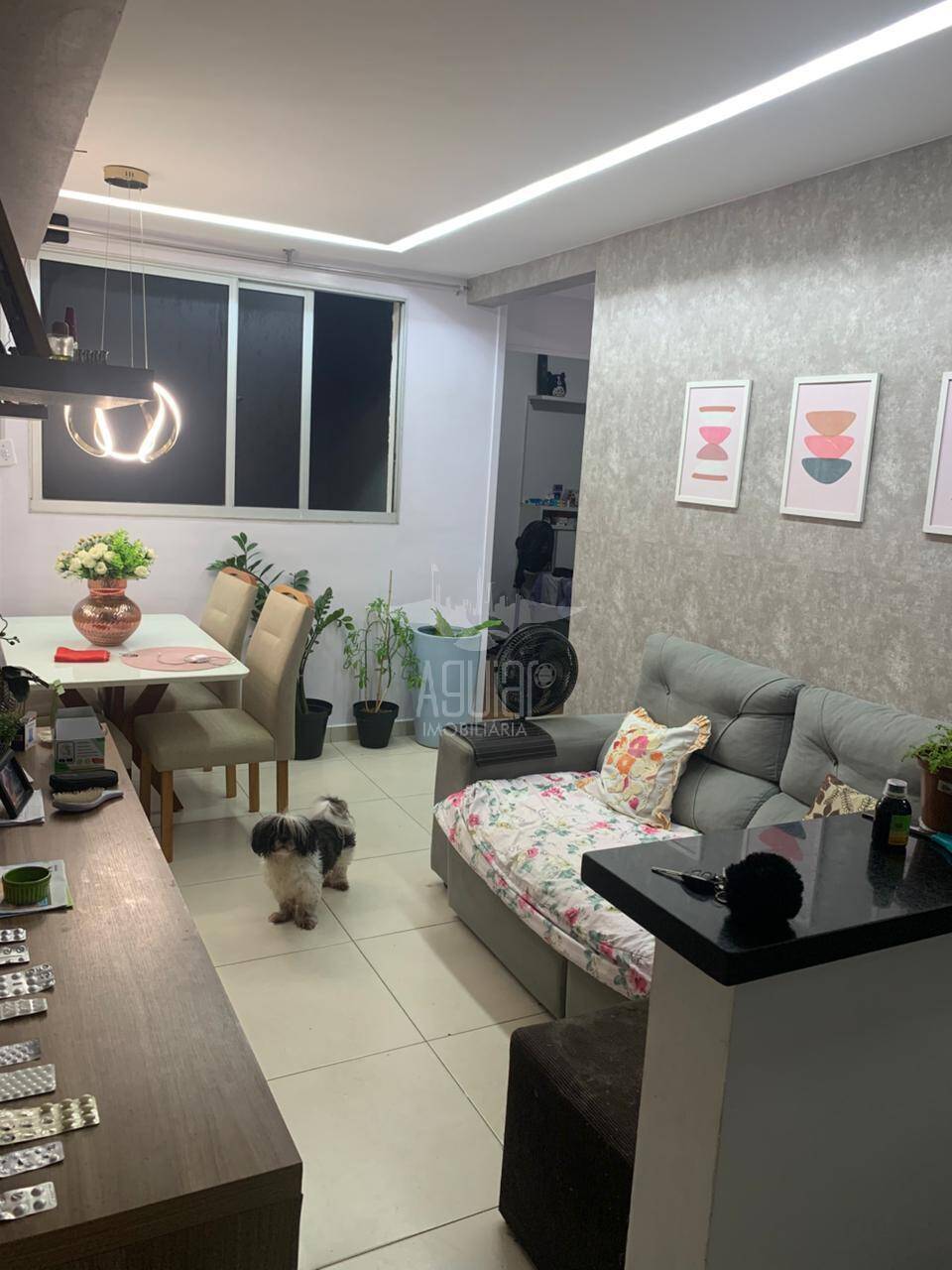 Apartamento à venda com 2 quartos, 55m² - Foto 14