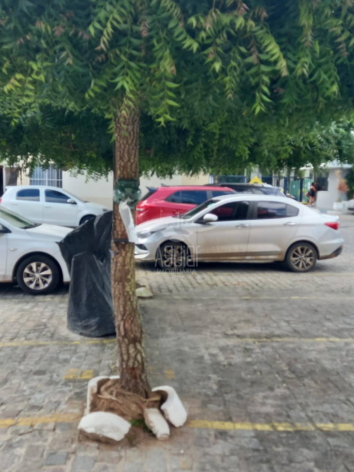 Apartamento, 2 quartos, 55 m² - Foto 34