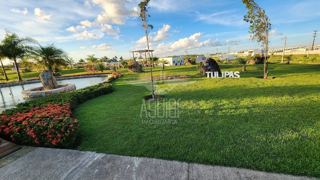 Terreno, 200 m² - Foto 15