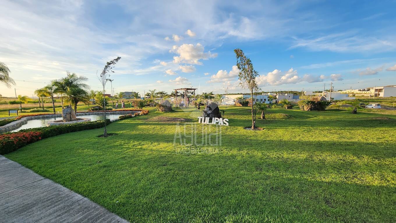 Terreno, 200 m² - Foto 16