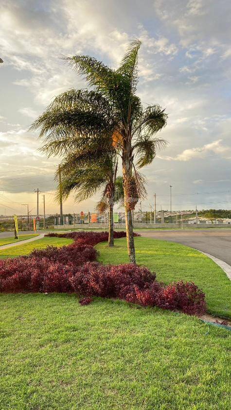 Terreno, 313 m² - Foto 15