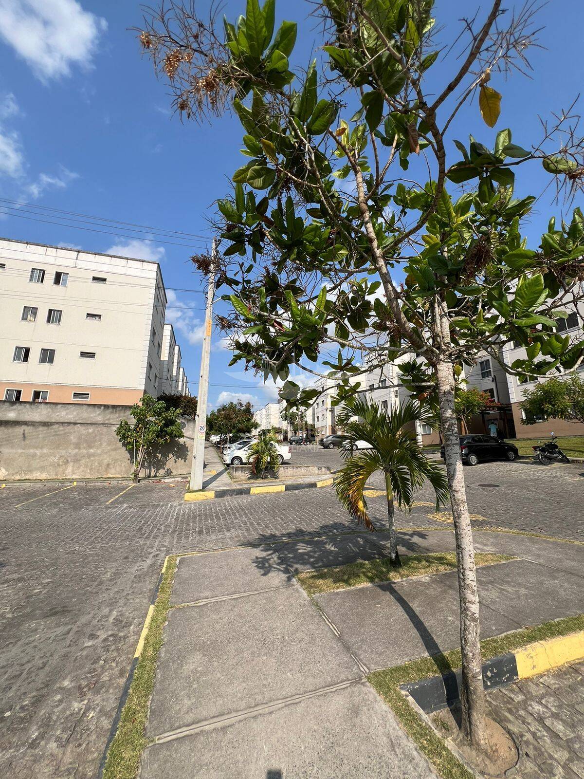 Apartamento, 2 quartos, 50 m² - Foto 13