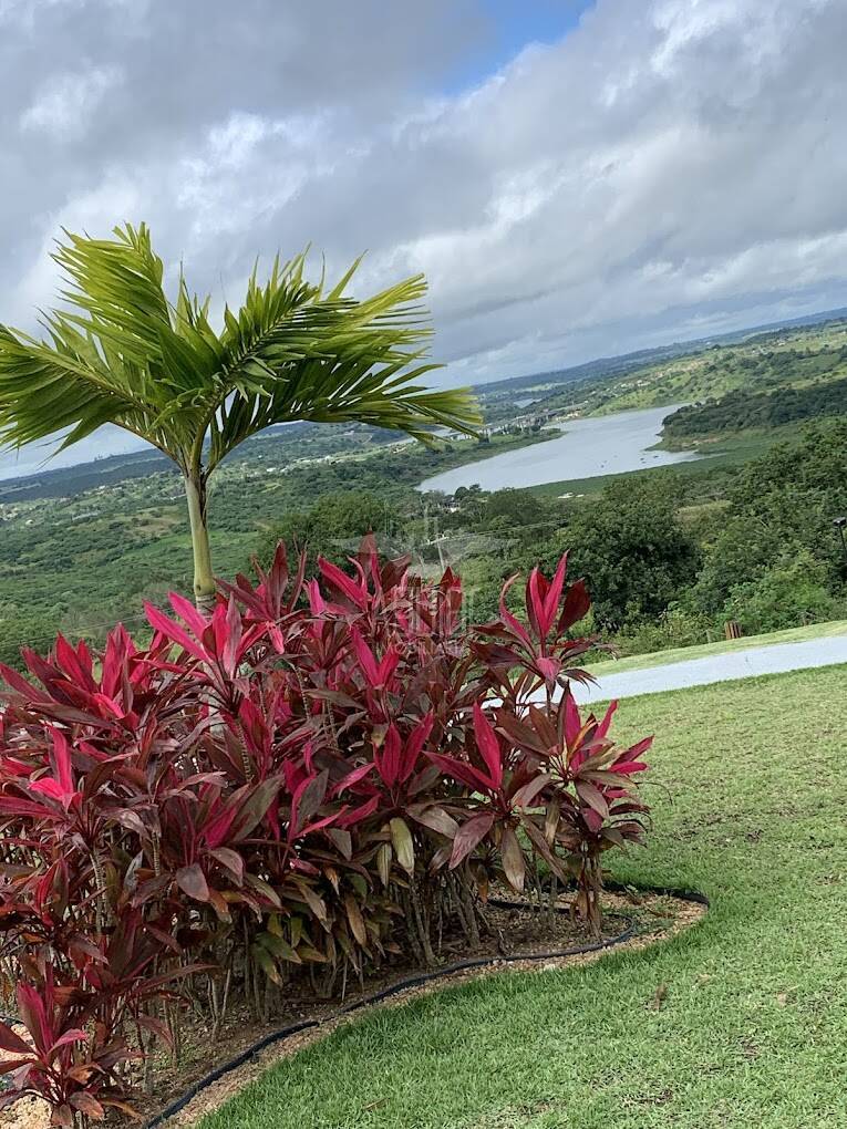 Terreno, 160 m² - Foto 45