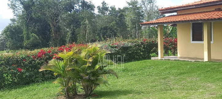 Chácara, 5 quartos, 3 hectares - Foto 12