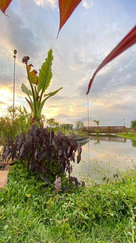Terreno, 318 m² - Foto 14